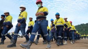 Pani Gold Mine Minta Maaf atas Pernyataan Karyawan yang Viral