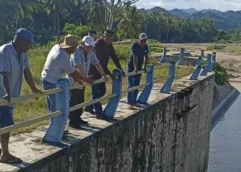 Sedimentasi Tutupi Pintu Air Bendungan Taluduyunu, Beni Nento Rogoh Kocek Pribadi Bantu Petani